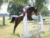 dressage horse Noblesse Nature (German Warmblood, 2004, from Nature du Lys)