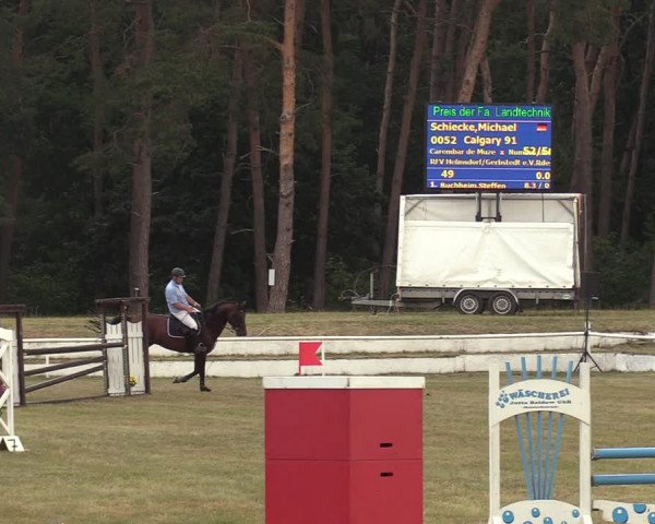 Reitturnier Wörmlitz 2020
