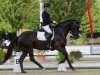 dressage horse Daja Nigra (Hanoverian, 2010, from Damsey FRH)