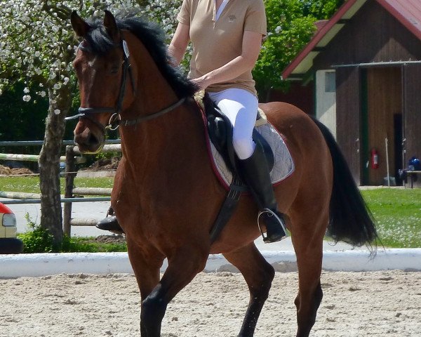 jumper Larifari (Bavarian, 2009, from Leopold 255)