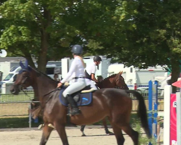 Reitturnier Rot am See- Musdorf 2020