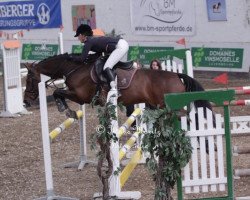 dressage horse Calvados sun (Mecklenburg, 2007, from Cypriano)