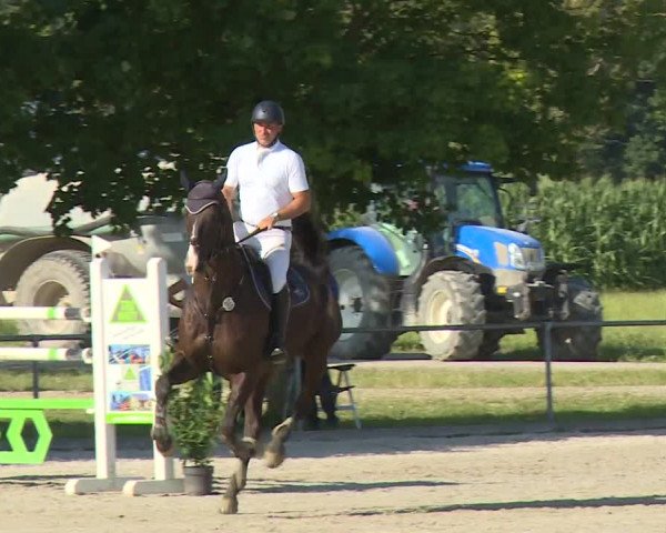 Reitturnier Rot am See- Musdorf 2020