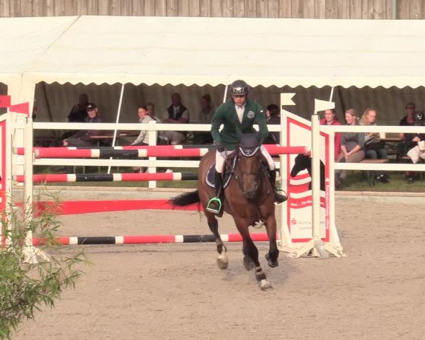 Reitturnier Ladelund 2020