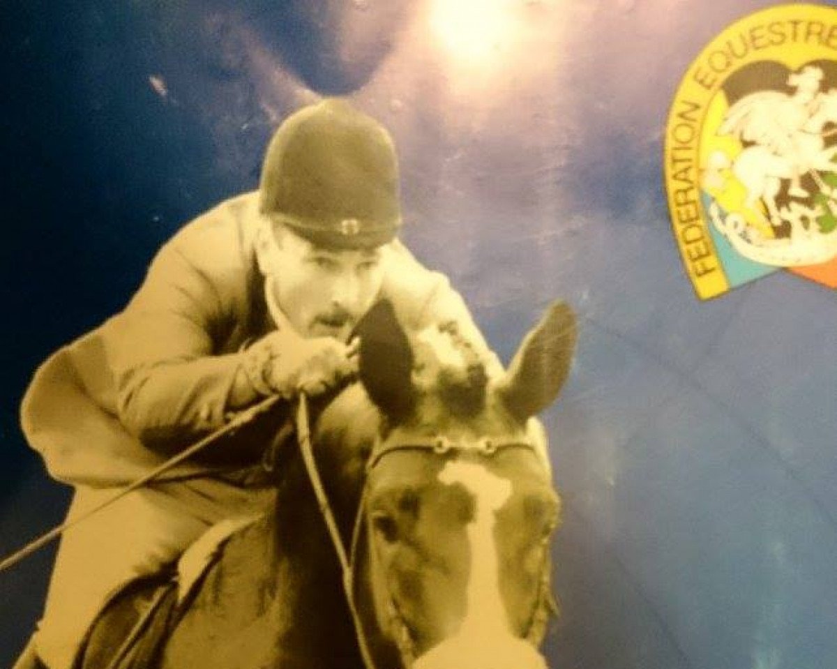 Pferd Midtjutland (Dänisches Warmblut, 1989, von Golden Wind)