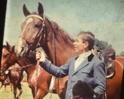 broodmare Melodija (Latvian Warmblood, 1986, from Mustangs)