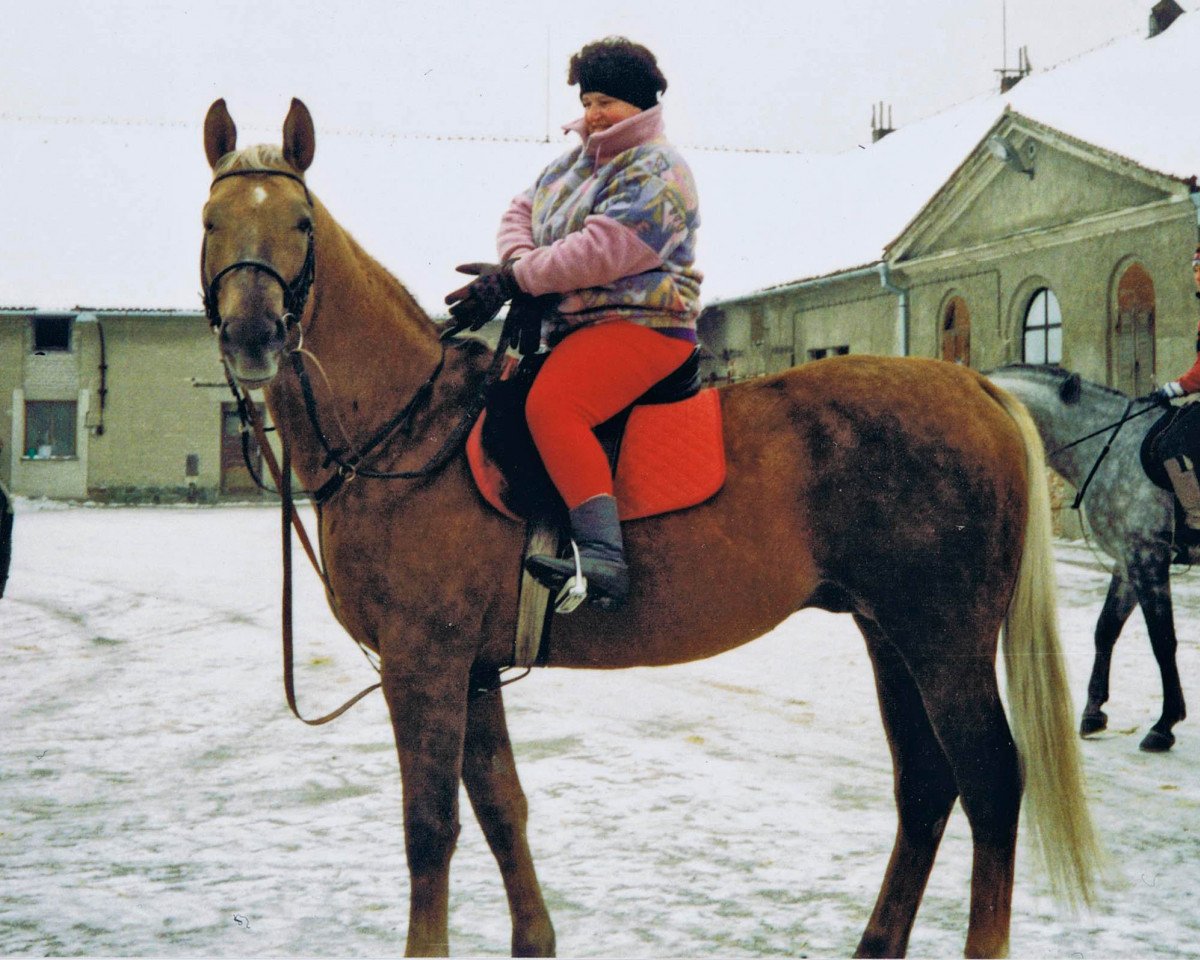 Deckhengst Dux Lipsky (Tschechisches Warmblut, 1986, von Dux)