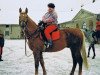 stallion Dux Lipsky (Czech Warmblood, 1986, from Dux)