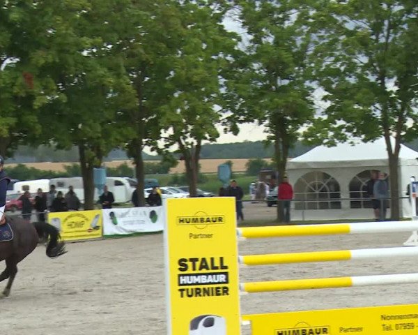 Reitturnier Rot am See- Musdorf 2020
