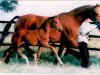 broodmare Fleur XIII (Trakehner, 1984, from Tuemmler)