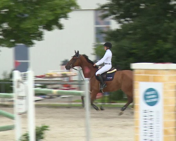 Reitturnier Rot am See- Musdorf 2020