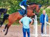 jumper Bastiaan 8 (KWPN (Royal Dutch Sporthorse), 2007, from Sunny)