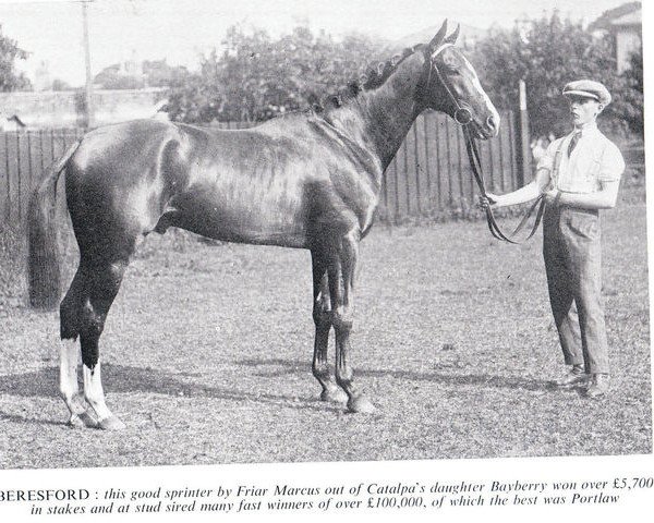 stallion Beresford xx (Thoroughbred, 1921, from Friar Marcus xx)