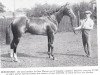 stallion Beresford xx (Thoroughbred, 1921, from Friar Marcus xx)