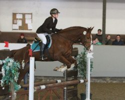 jumper Calythos (Hanoverian, 2009, from Champion For Pleasure)