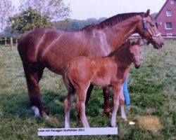 Zuchtstute Luise (Westfale, 2003, von Levados)