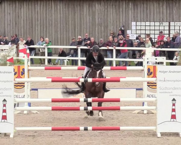 Reitturnier Ladelund 2020