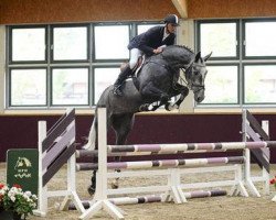 jumper Stolzenweg (Hanoverian, 2006, from Stolzenberg)