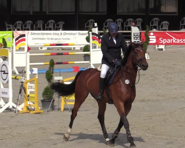 Reitturnier Vlotho-Exter 2020