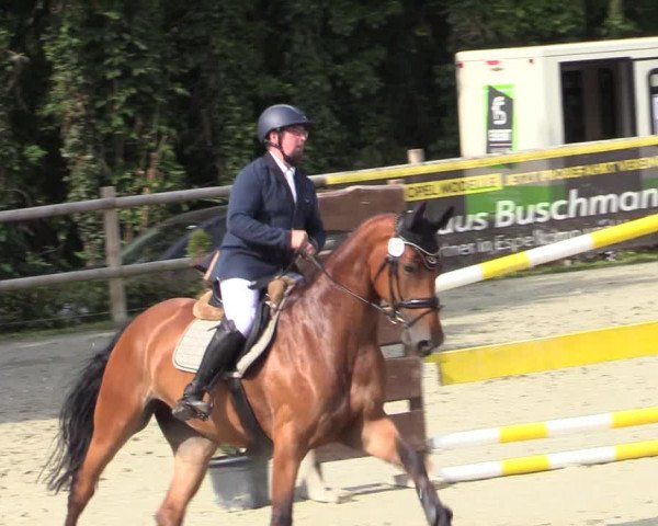 Reitturnier Vlotho-Exter 2020