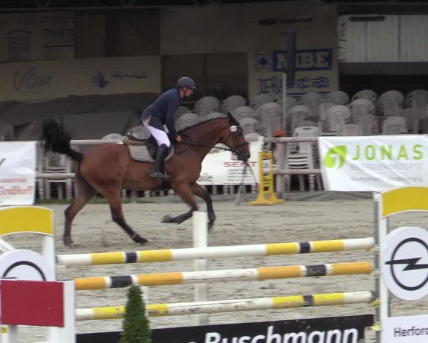 Reitturnier Vlotho-Exter 2020