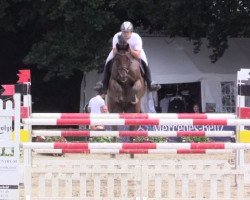 jumper Quinto 57 (Hanoverian, 2005, from Quidam's Rubin)