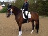 dressage horse Cherrycoke (Oldenburg, 2009, from Cola 10)