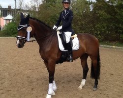 dressage horse Cherrycoke (Oldenburg, 2009, from Cola 10)