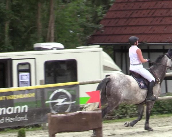 Reitturnier Vlotho-Exter 2020