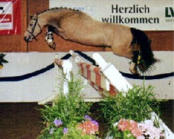 dressage horse Frankenhoeh's Kir Royal (German Riding Pony, 1999, from Bonsay)