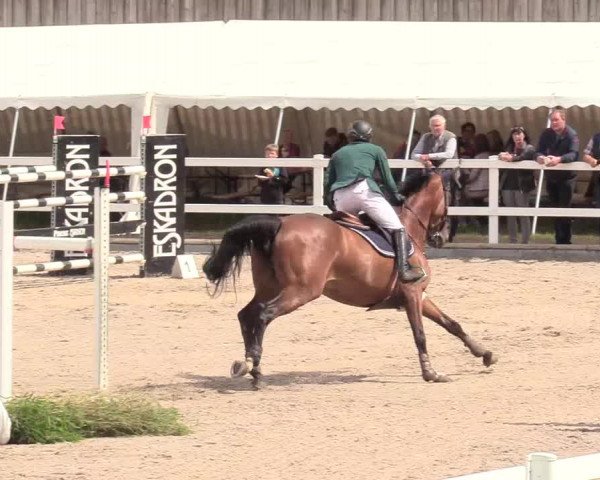 Reitturnier Ladelund 2020