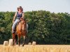 broodmare Bijou´s Gina (New Forest Pony, 1998, from Ashley Royale)