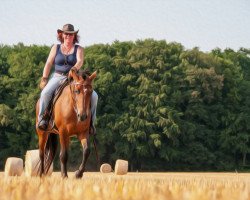 broodmare Bijou´s Gina (New Forest Pony, 1998, from Ashley Royale)