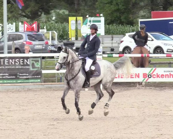 Reitturnier Ladelund 2020