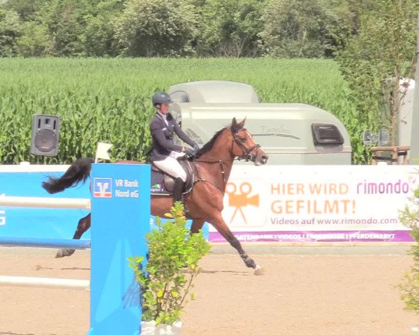 Reitturnier Ladelund 2020