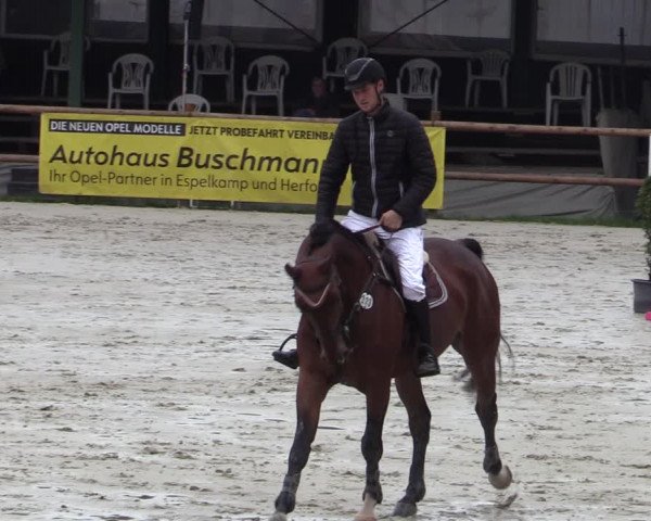 Reitturnier Vlotho-Exter 2020