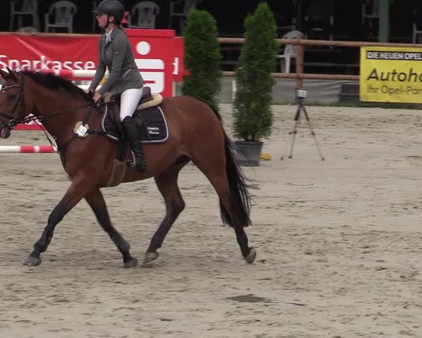 Reitturnier Vlotho-Exter 2020