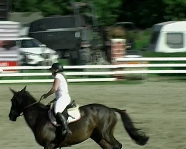 Reitturnier Aesch (Neftenbach) 2020