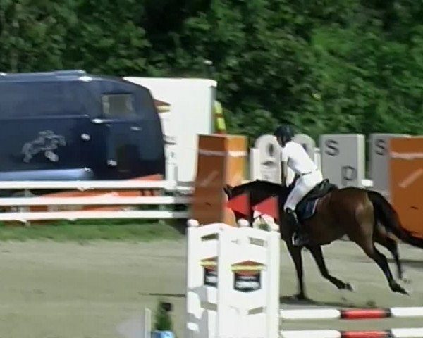Reitturnier Aesch (Neftenbach) 2020