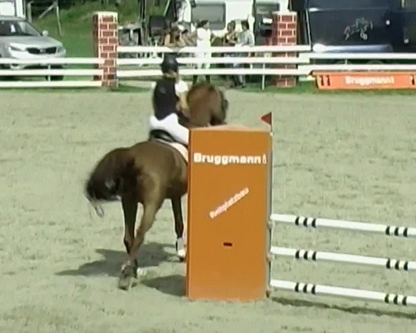 Reitturnier Aesch (Neftenbach) 2020