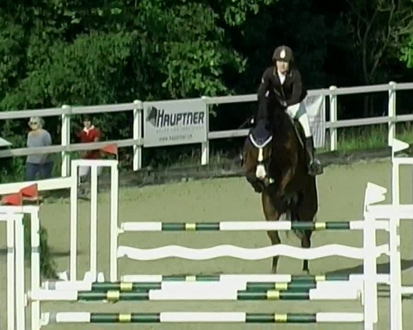 Reitturnier Aesch (Neftenbach) 2020