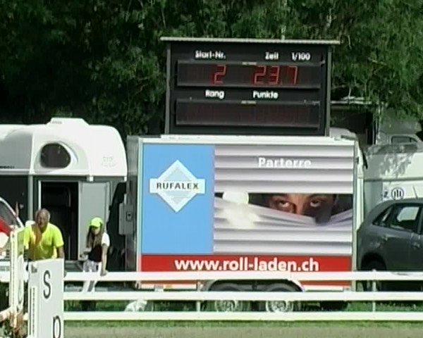 Reitturnier Aesch (Neftenbach) 2020