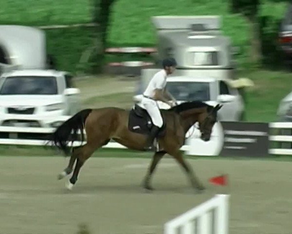 Reitturnier Aesch (Neftenbach) 2020