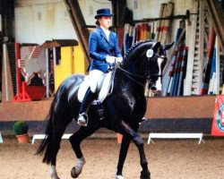 horse Rossini K 3 (Hanoverian, 2002, from Rotspon)