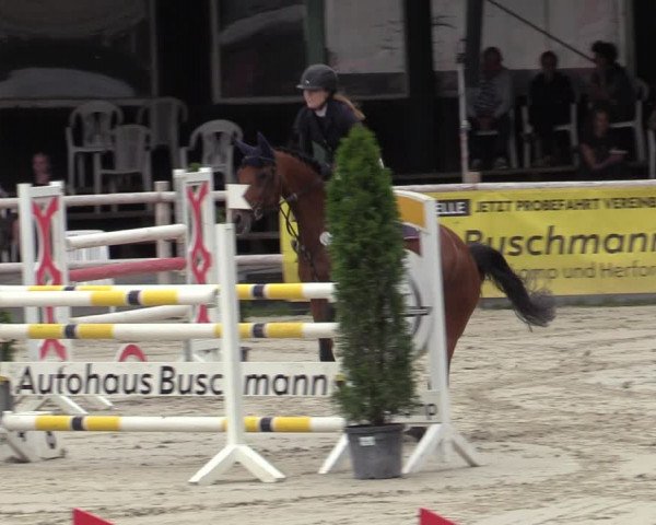 Reitturnier Vlotho-Exter 2020