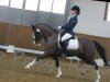 dressage horse Click Clack 2 (German Riding Pony, 1999, from Campari)