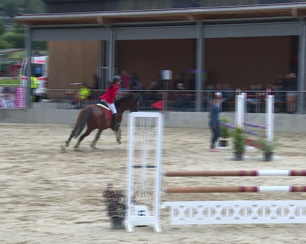 Reitturnier Schwyz 2020