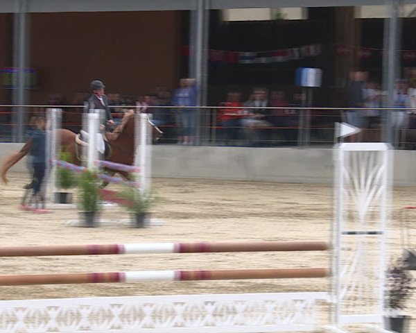 Reitturnier Schwyz 2020
