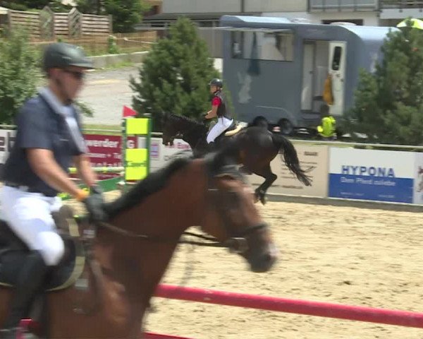 Reitturnier Schwyz 2020