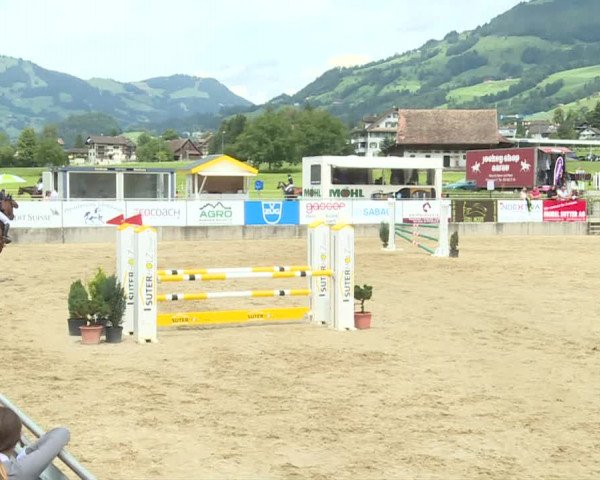 Reitturnier Schwyz 2020